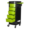 GABBIANO POMOCNIK FRYZJERSKI FT65 BLACK/GREEN